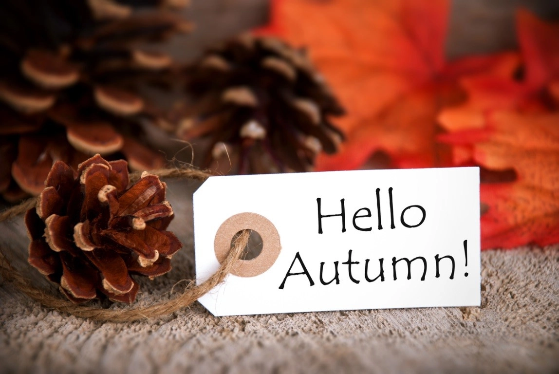 Welcome autumn into your home