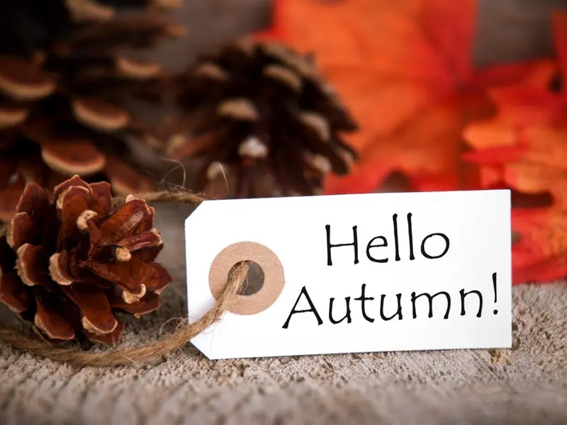 Welcome autumn into your home