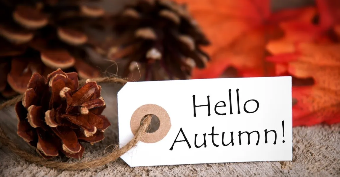 Welcome autumn into your home